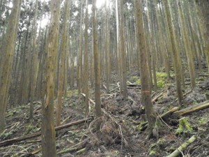 黒滝山の登山口