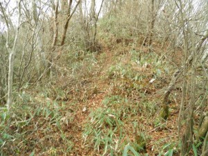 野鹿池山