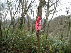 野鹿池山