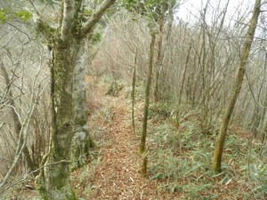 野鹿池山