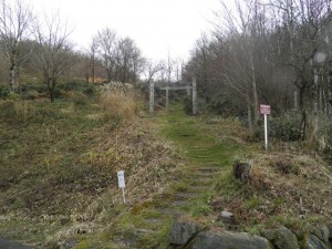 野鹿池山