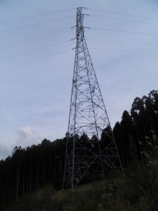 野鹿池山