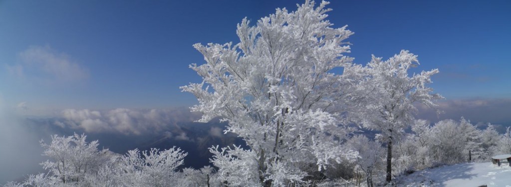 阿波国見山