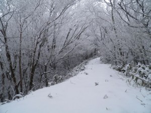 阿波国見山