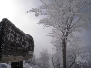 阿波国見山