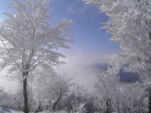 阿波国見山