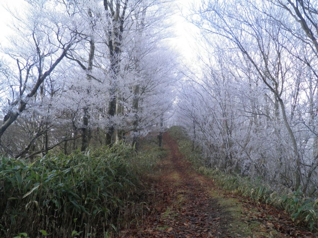 阿波国見山