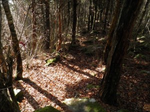 阿波国見山