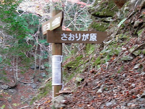 PB224241